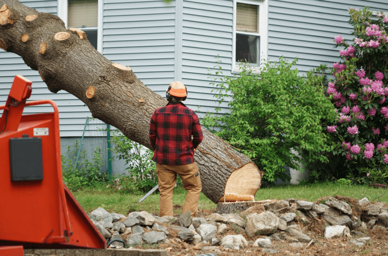 Screenshot 2024-10-14 at 6.28.09 PM A person in work gear watches a cut tree leaning against a house, near a machine and a stone wall.